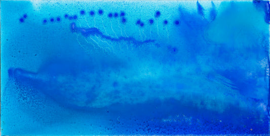 The ocean at last | 50x100cm