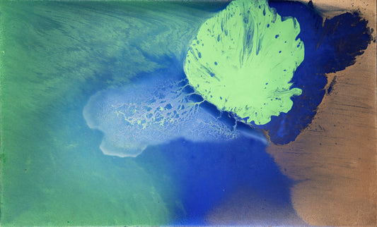 Camino del musgo | 100x60cm